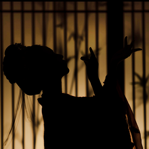 戏语花（翻自 玄觞）