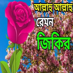 আল্লাহ আল্লাহ হাসবি রাব্বি জাল্লাল্লাহ সুবহানাল্লাহ আলহামদুলিল্লাহ, বাংলা জিকির,Zikir