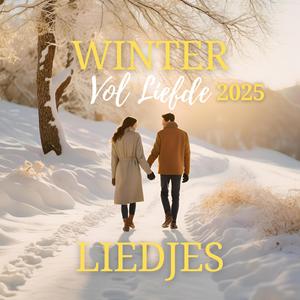 Jan Zoekt Een Timmerman