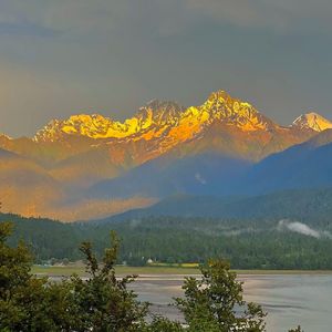 《竖琴与自然音治愈萌宠国度》