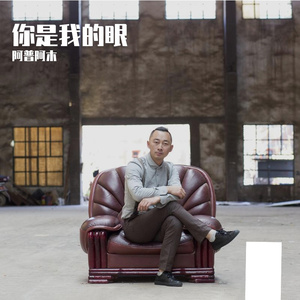 你是我的眼 阿普阿木