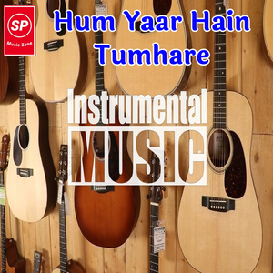 Hum Yaar Hain Tumhare