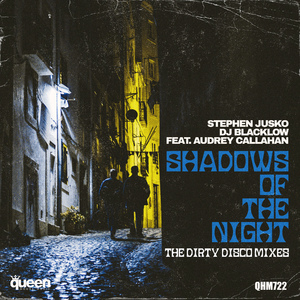 Shadows of the Night (Dirty Disco Big Room Dub)