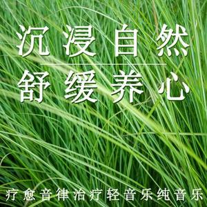 轻快闲适 安静轻音乐