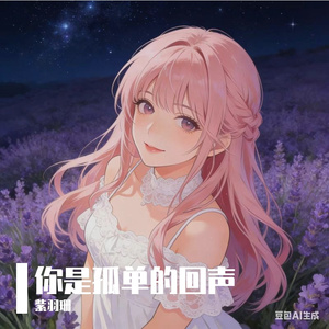 你是孤单的回声
