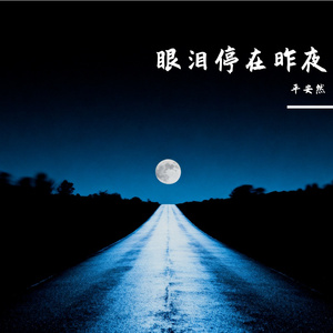 眼泪停在昨夜