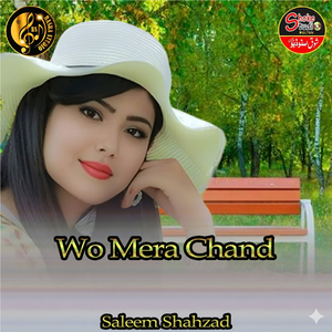 Wo Mera Chand (1)