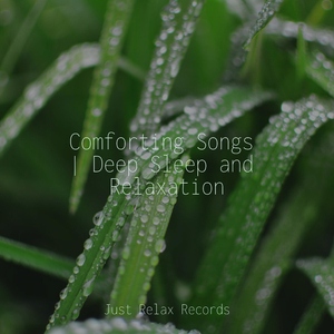 Dreams in Sunlit Slumber