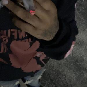 i died inn my dreams last night .