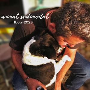 Animal Sentimental