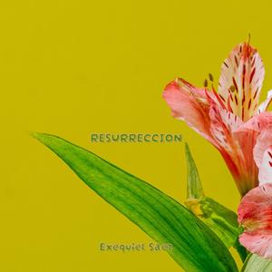 RESURRECCION