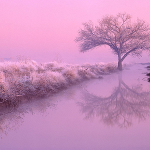 你的喵phone请接听一下