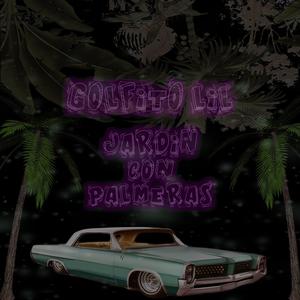 Jardín Con Palmeras