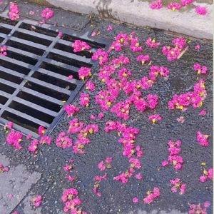 八月的雨（prod by Gr33nart beats）