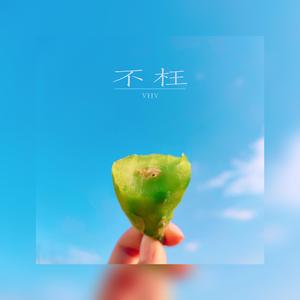 不枉 伴奏