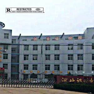 某天才的emo高中牲