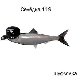 селёдка 119