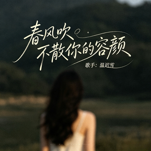 春风吹不散你的容颜