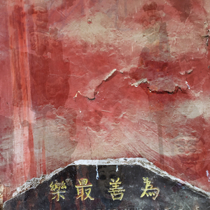 竹林胡生-Bamboo Hu sounding