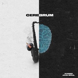 Cerebrum (feat. Akin Soul)