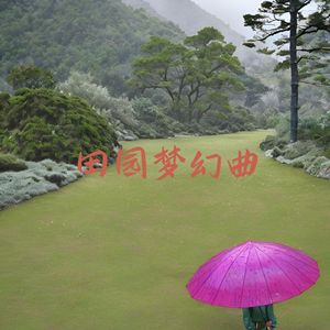 竹影摇曳 (解压)