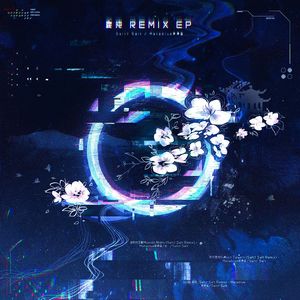 银河酒馆 Galaxy Tavern (Salty Salt Remix)