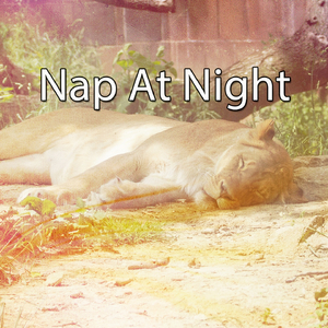 The Old Rocking Chair