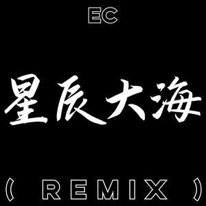 星辰大海 (Remix)