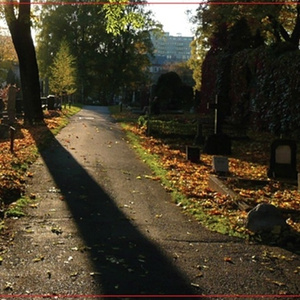 Just Lay Down And Forget It