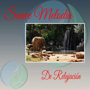 El Piano y la Ocarina