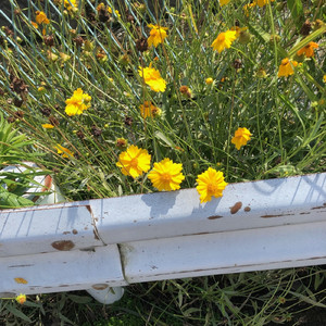 すべて君にとどけ