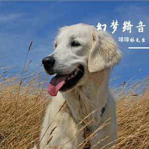 要素
