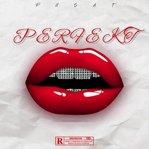PERFEKT (feat. Gbg Es)