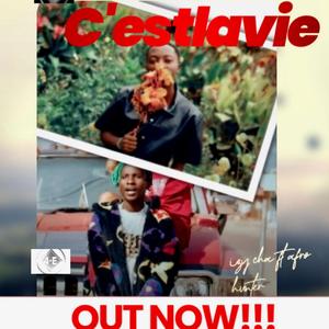 C'est La vie (feat. Afro hunter official)
