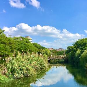 漠河舞厅