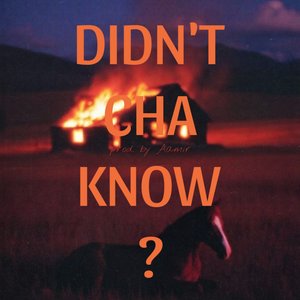 Didn't Cha Know