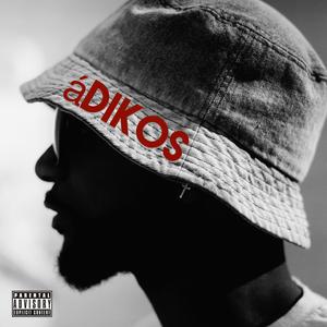 Chicken rice beans and steak tips