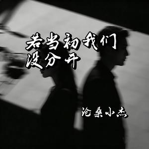 若当初我们没分开