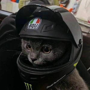 一次就好（翻唱）