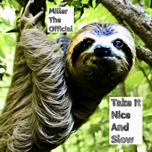 Take It Nice and Slow