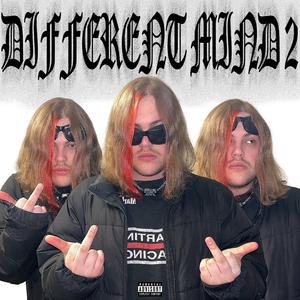 кисы - котики