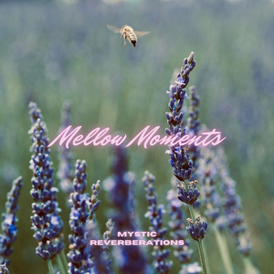 Mellow Moments (Meditation)