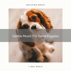 Gentle Tunes For Couch Puppies