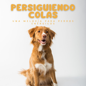 El Graznido Del Cuervo