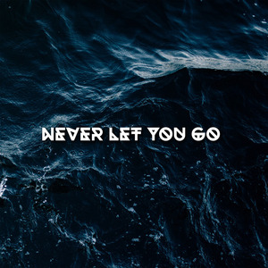 Never Let You Go