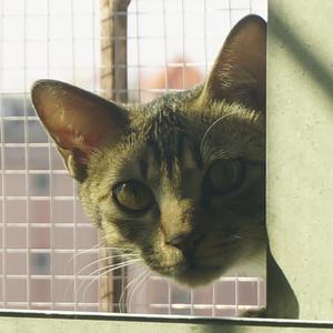 我的果汁分你一半