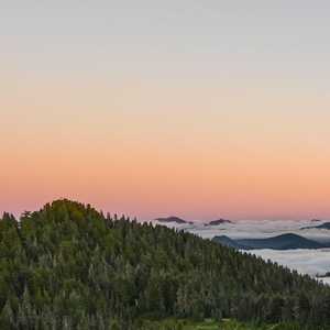 为何伤透我的心