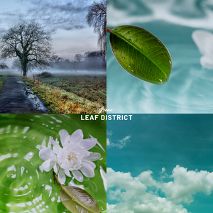 F o r e s t (Nature)