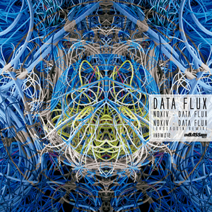 Data Flux