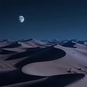The Endless Night (Part II)